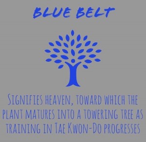 blue belt meaning complete